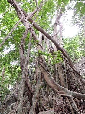 khao sam roi yot national park